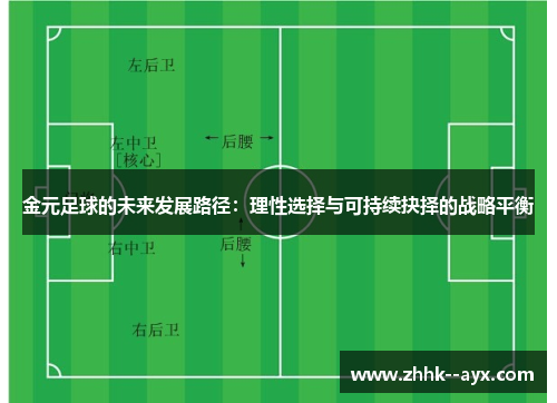 金元足球的未来发展路径：理性选择与可持续抉择的战略平衡